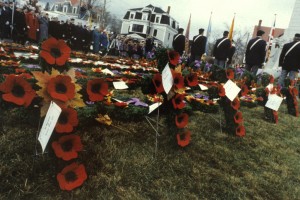 Remembrance Day Photographs