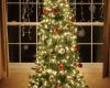 How to photograph your Christmas tree…with or without your family!