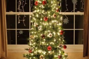 How to photograph your Christmas tree…with or without your family!