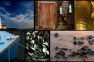 Grand Manan Photography Workshop July 9th-12th 2019