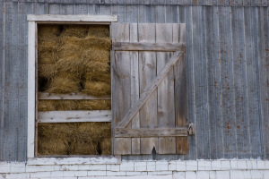 Kingston Peninsula Photography Workshop