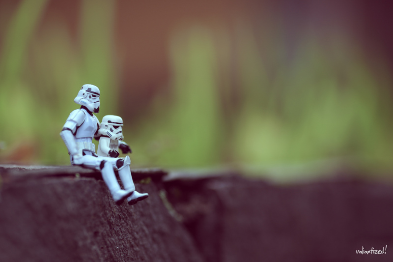 Photo by Flickr user Yohanes Sanjaya https://www.flickr.com/photos/valiantize/ Used under Creative Commons license.