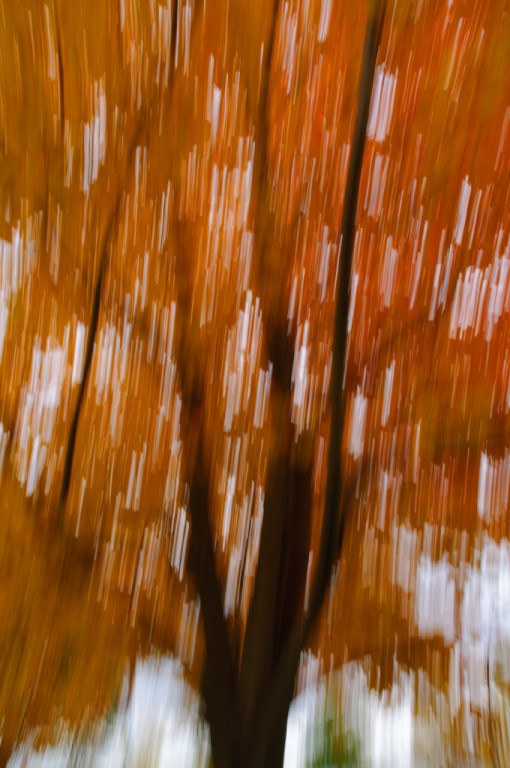 DSC_5478