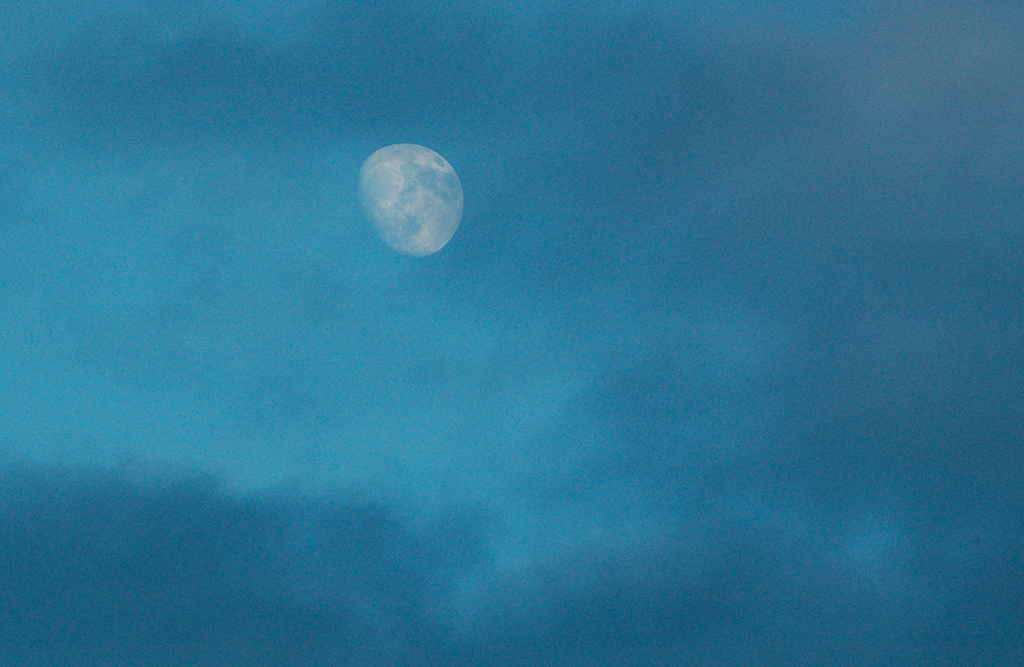 Exposure 1/250 F9 ISO 100