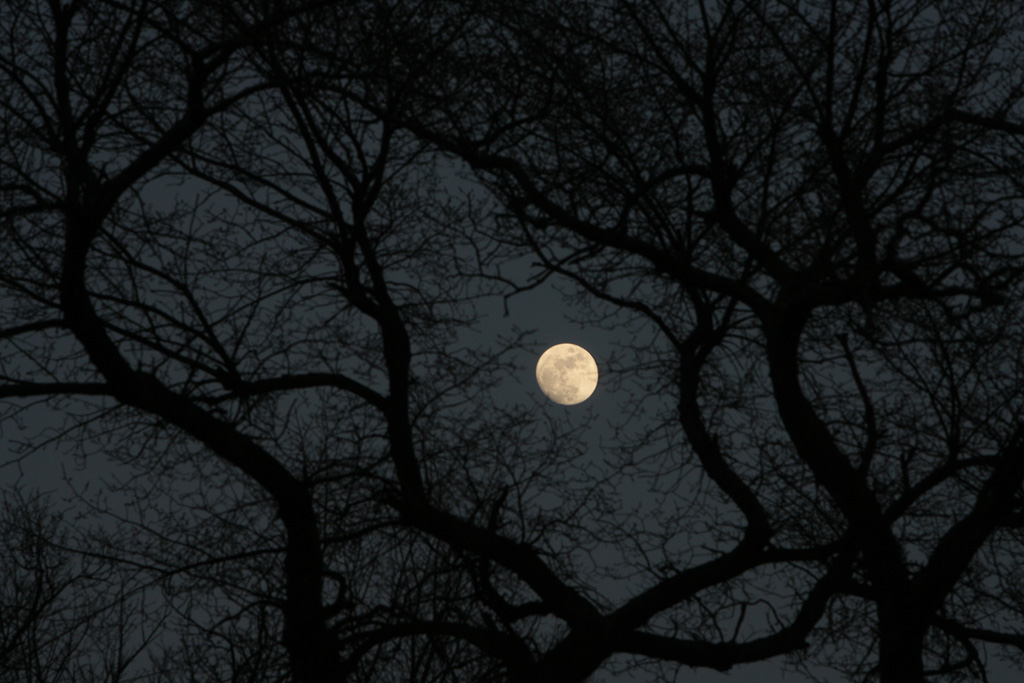 moon1