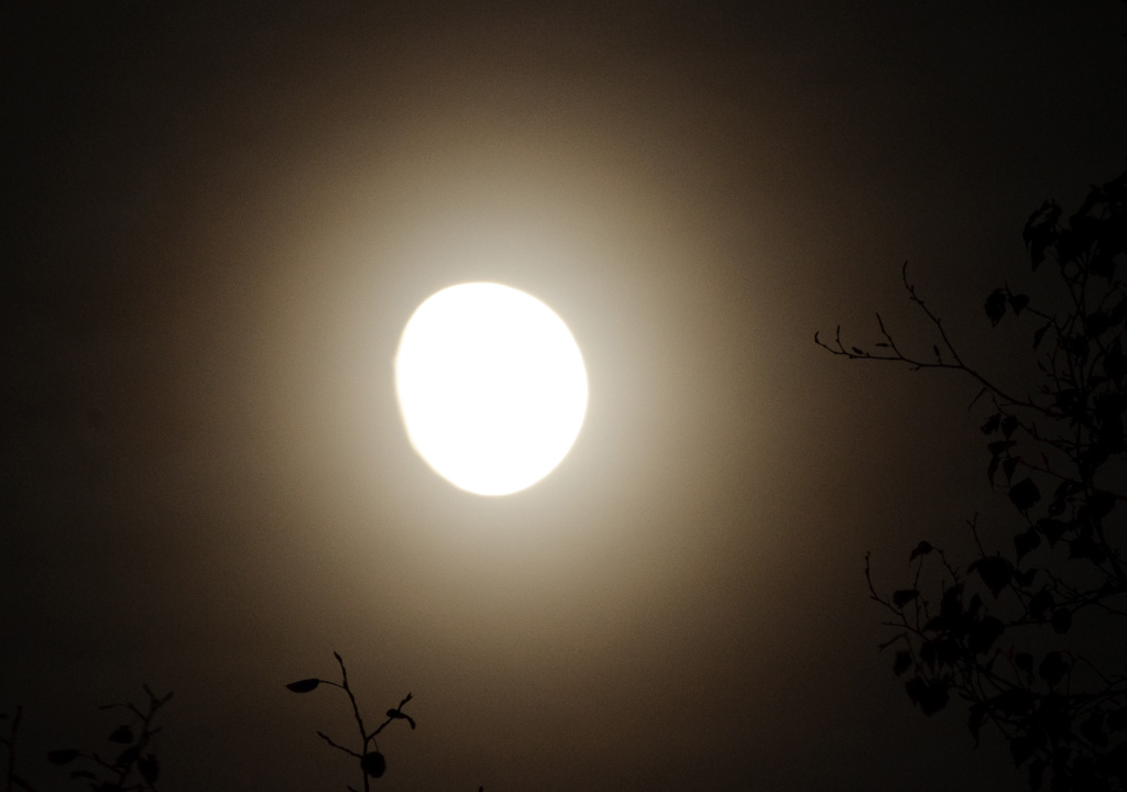 moonexposure